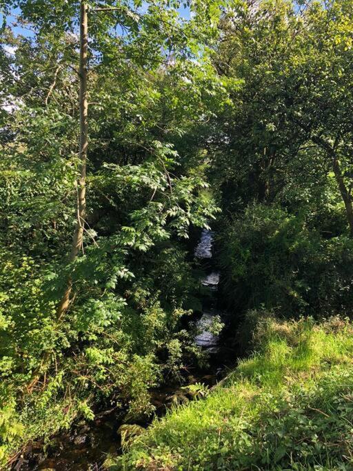 Martinstown A View Of The Glensヴィラ エクステリア 写真